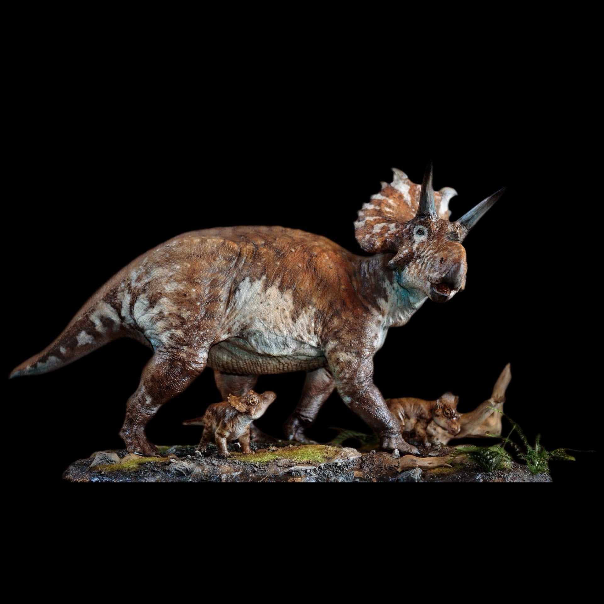 Albertaceratops Statue Model Kit 1:15 Scale Musee Studio
