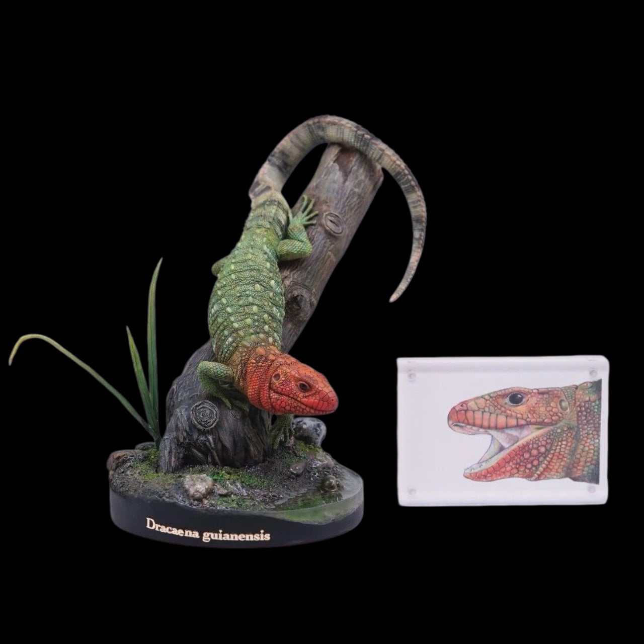 Dracaenaguianensis statue Model Kit 1:4 Scale