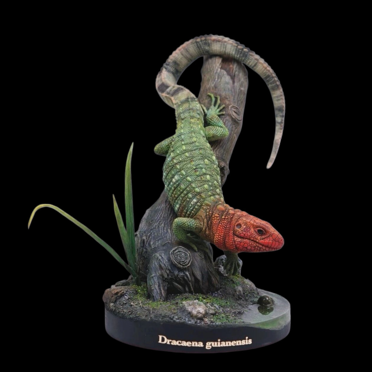 Dracaenaguianensis statue Model Kit 1:4 Scale