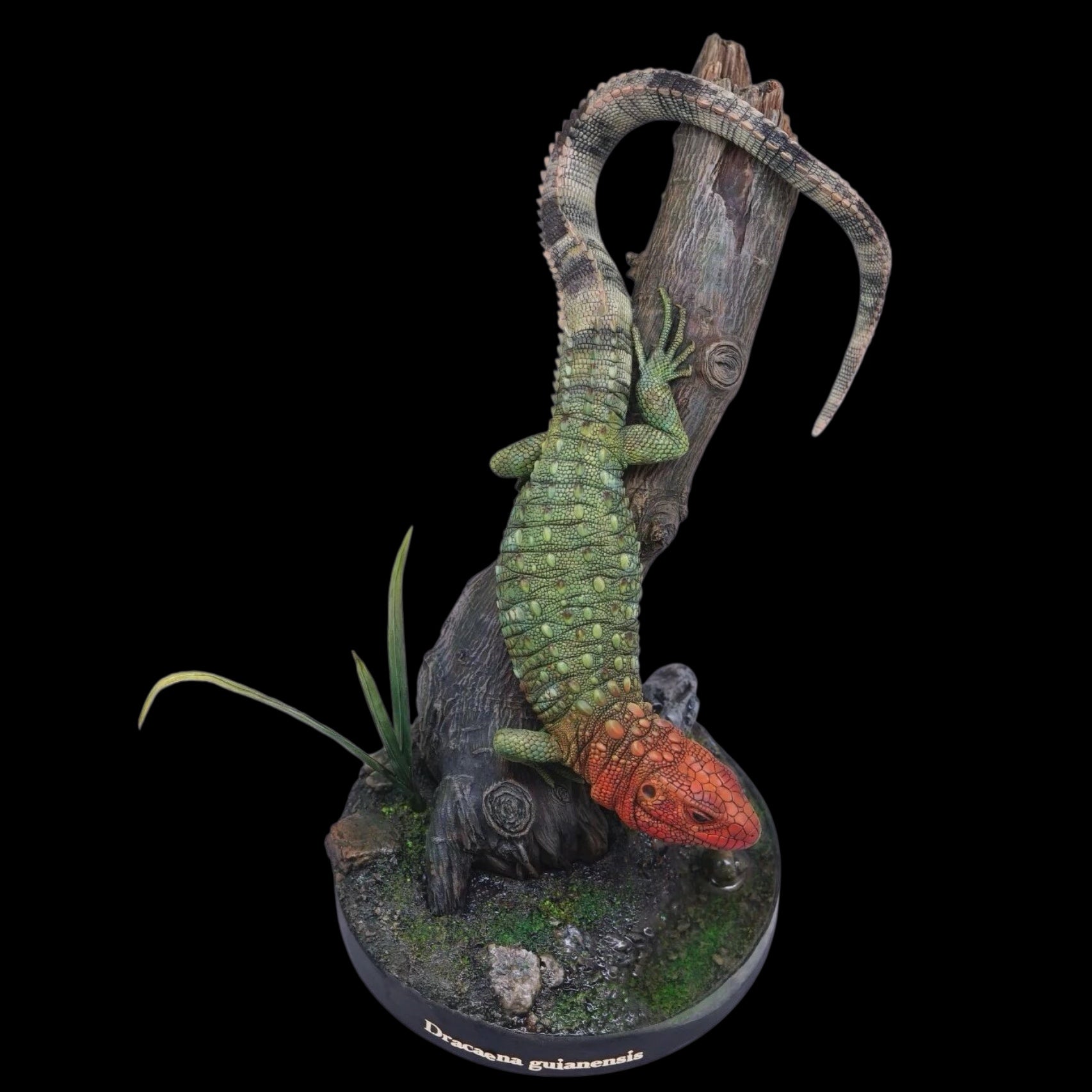 Dracaenaguianensis statue Model Kit 1:4 Scale