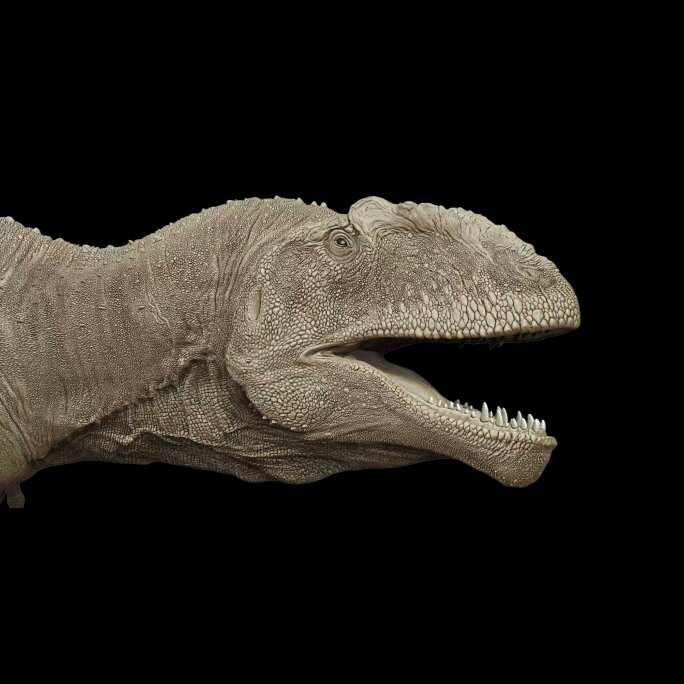 Giganotosaurus statue Model Kit 1:35 1:18 Scale David Krentz