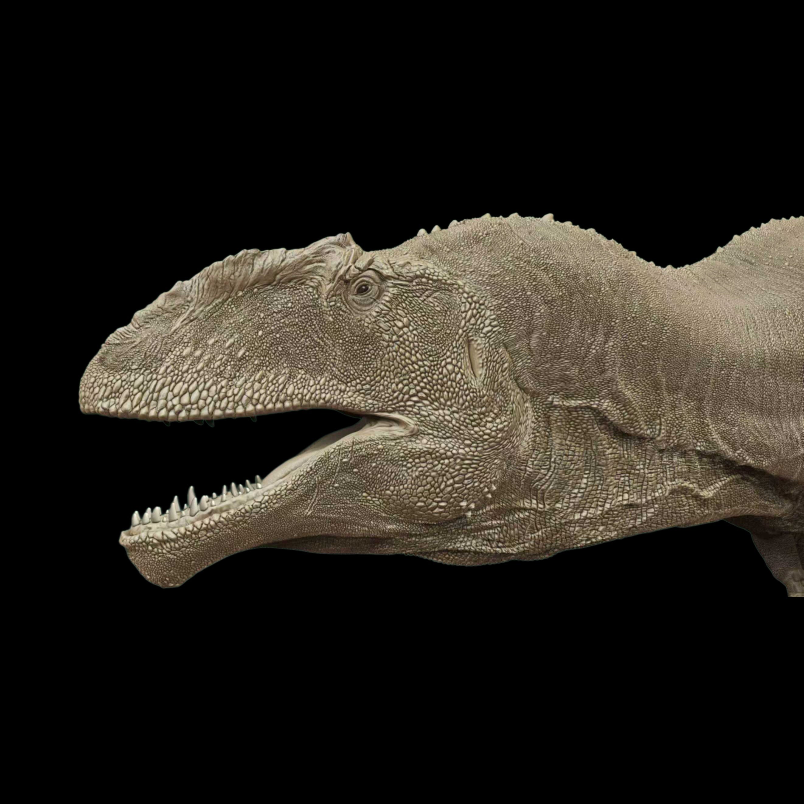 Giganotosaurus statue Model Kit 1:35 1:18 Scale David Krentz