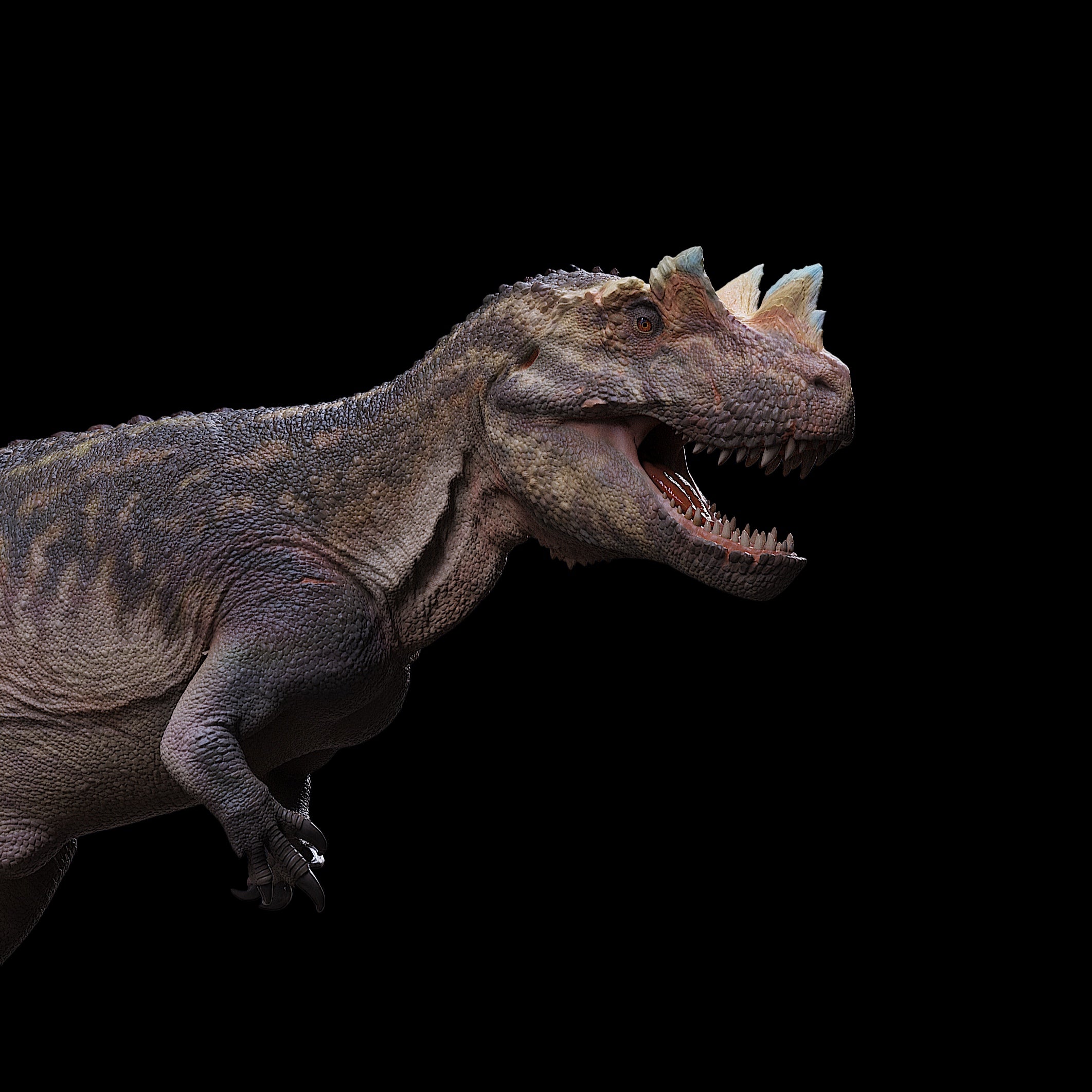 Ceratosaurus dentisulcatus Statue Model Kit 1:35 1:18 Scale CSL Studio