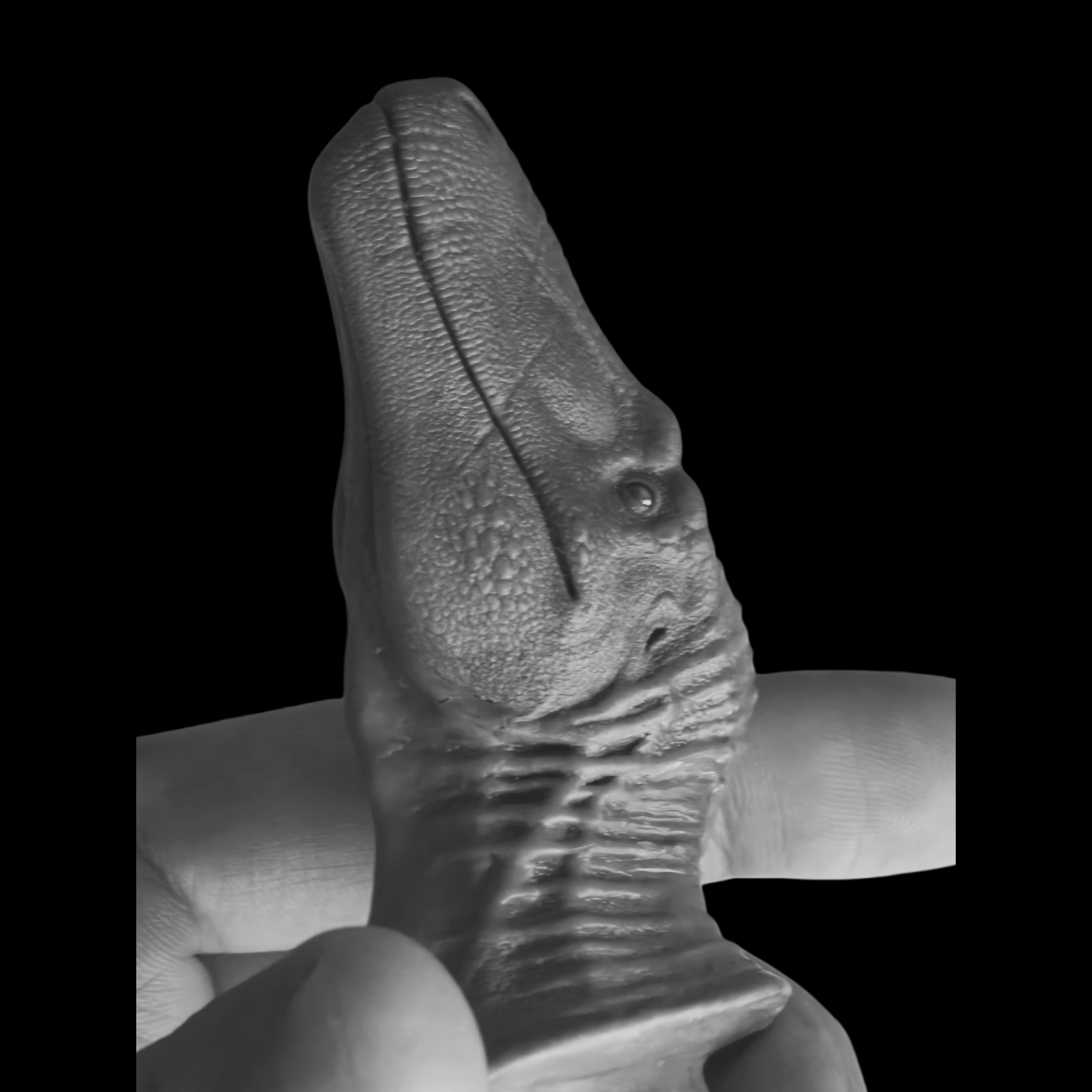 Nanotyrannus statue Model Kit 1:20 Scale MK Studio