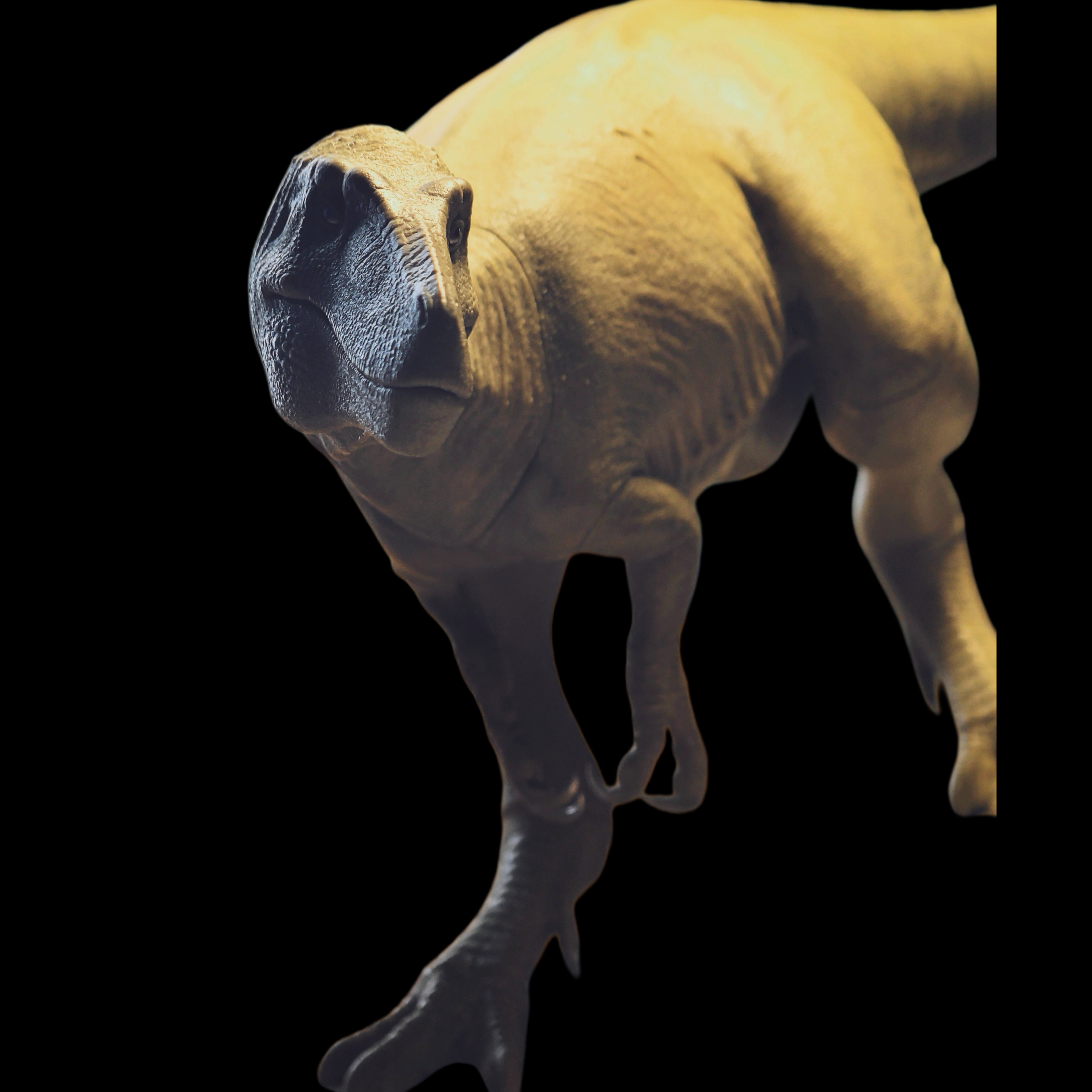 Nanotyrannus statue Model Kit 1:20 Scale MK Studio