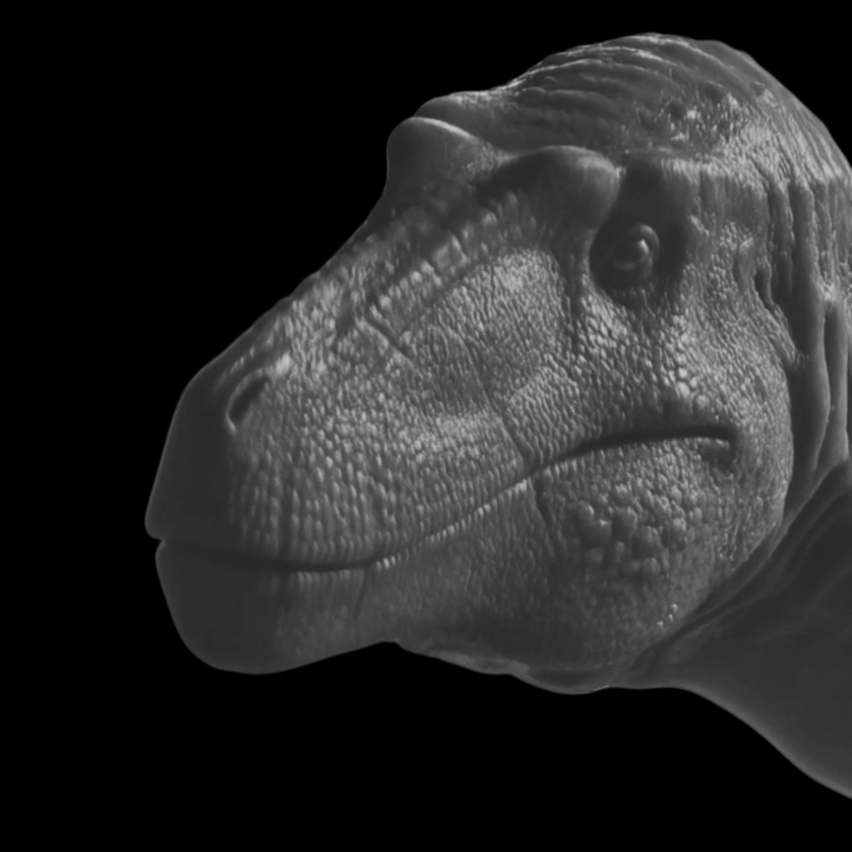 Nanotyrannus statue Model Kit 1:20 Scale MK Studio