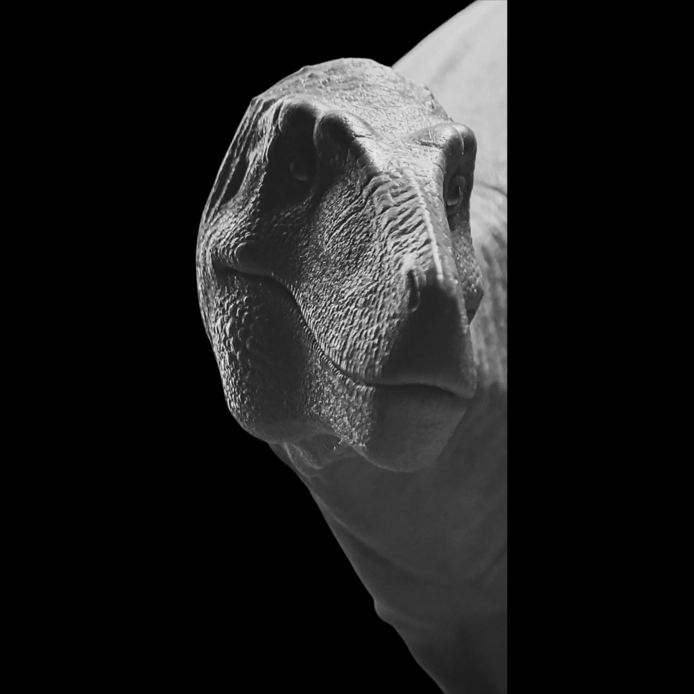 Nanotyrannus statue Model Kit 1:20 Scale MK Studio