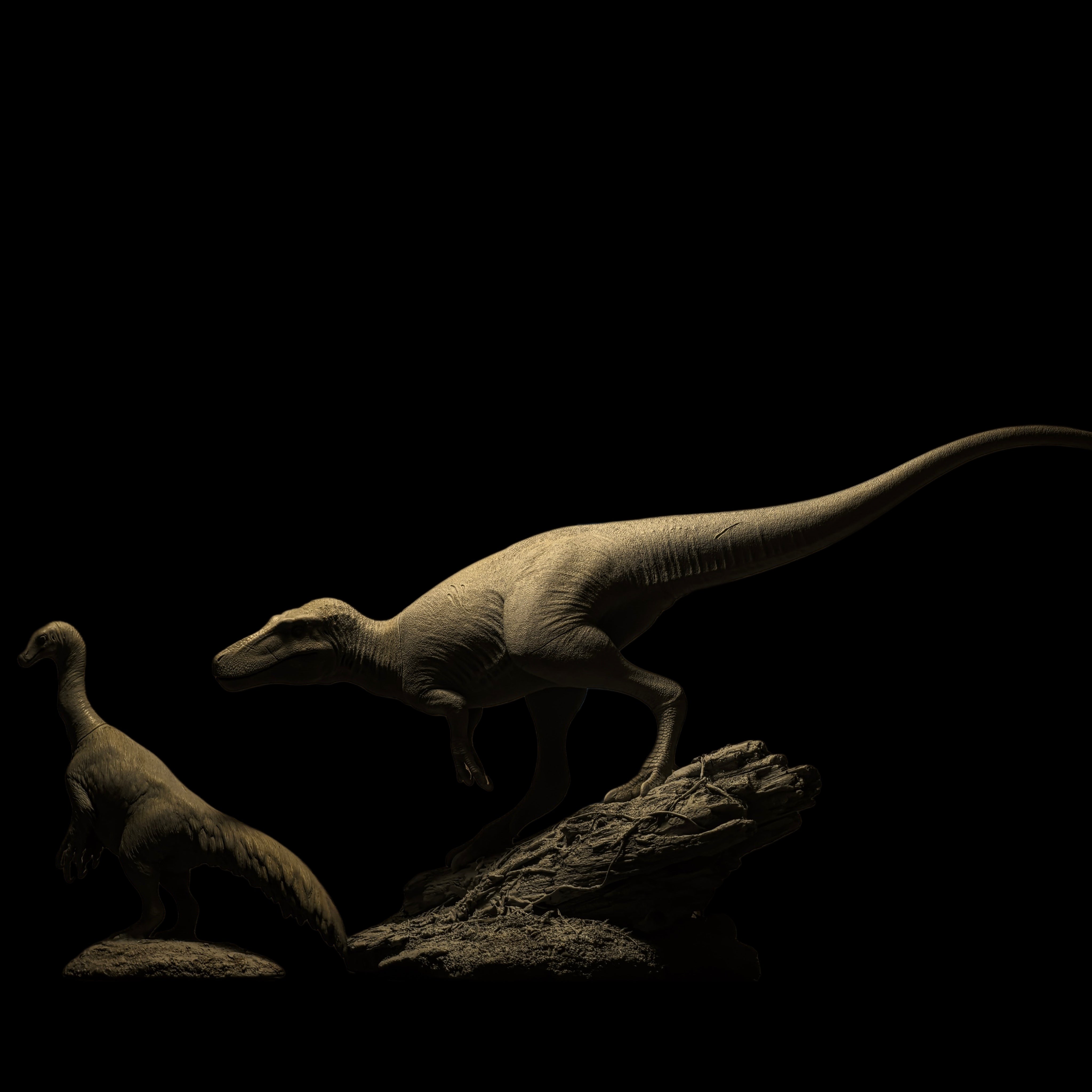 Nanotyrannus statue Model Kit 1:20 Scale MK Studio