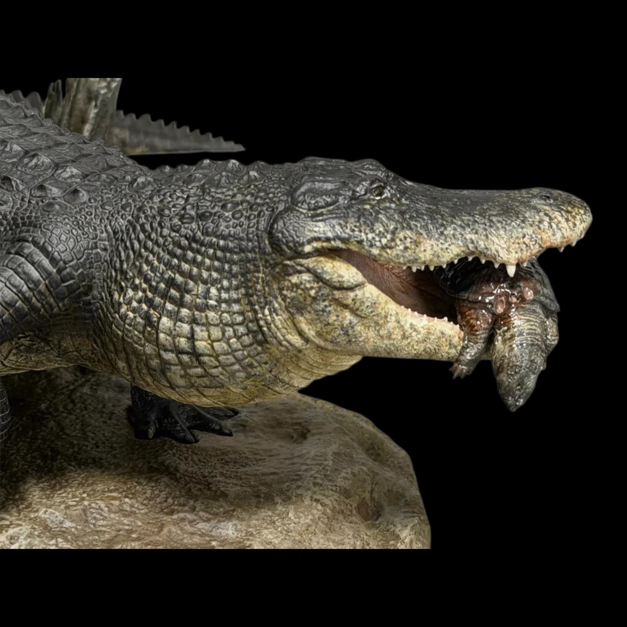 AMERICAN ALLIGATOR statue Model Kit 1:10 1:15 1:18 1:35 Scale The Crocs Man Studio