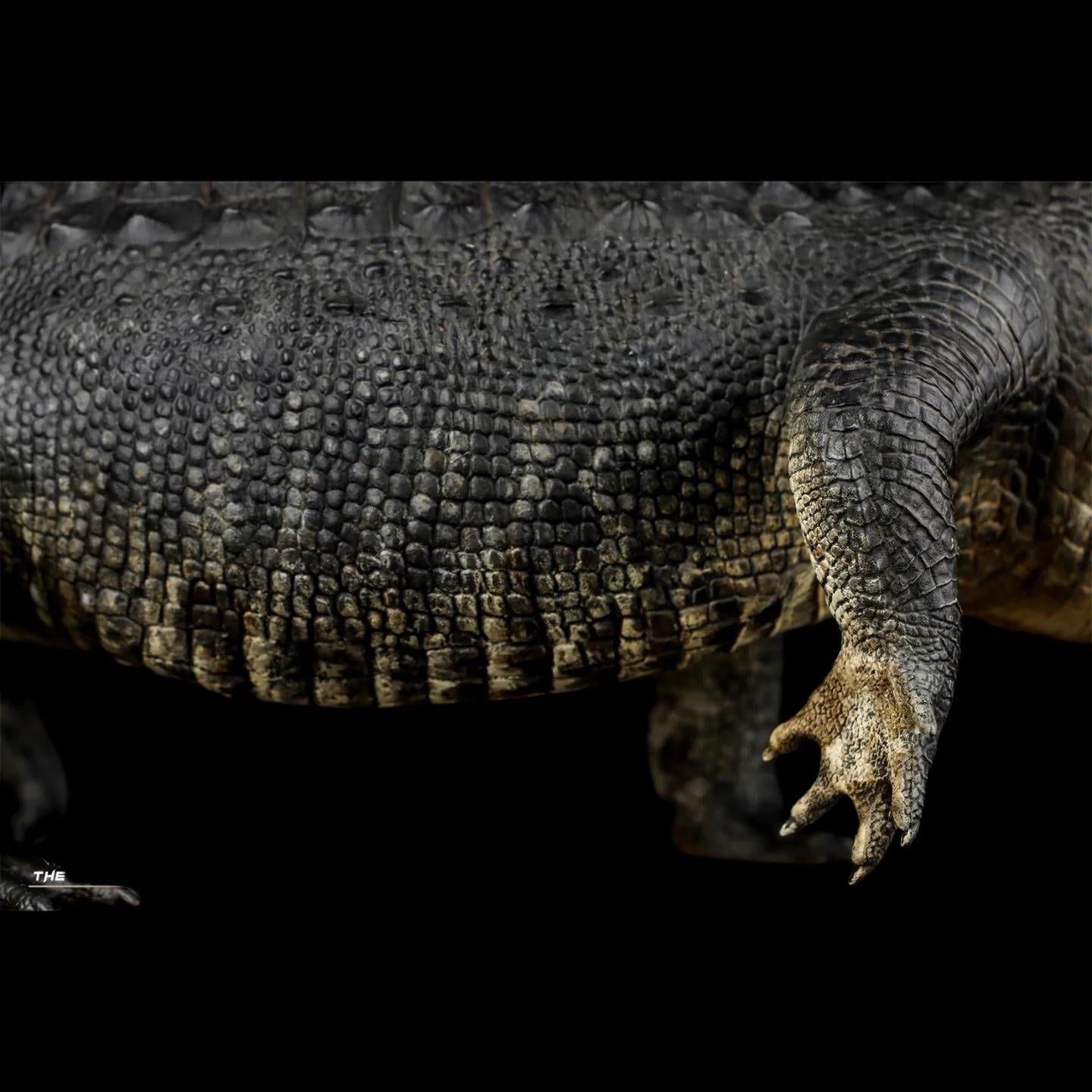 AMERICAN ALLIGATOR statue Model Kit 1:10 1:15 1:18 1:35 Scale The Crocs Man Studio