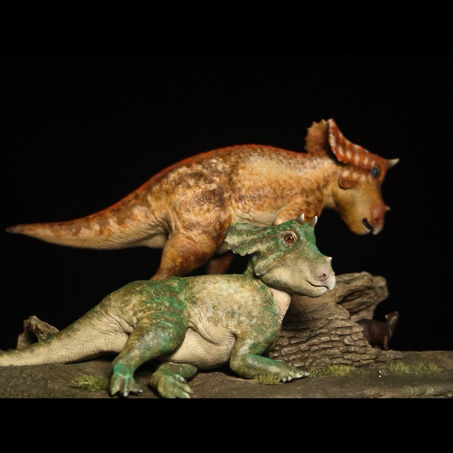 TRICERATOPS JUVENILE statue Model Kit 1:20 Scale