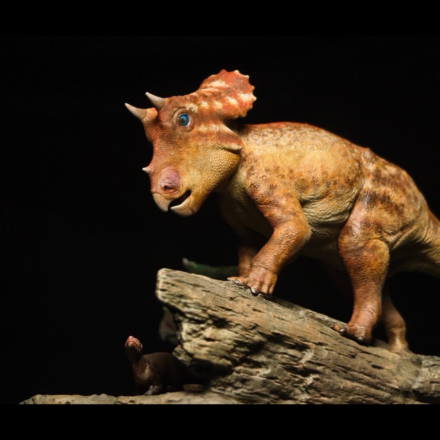 TRICERATOPS JUVENILE statue Model Kit 1:20 Scale