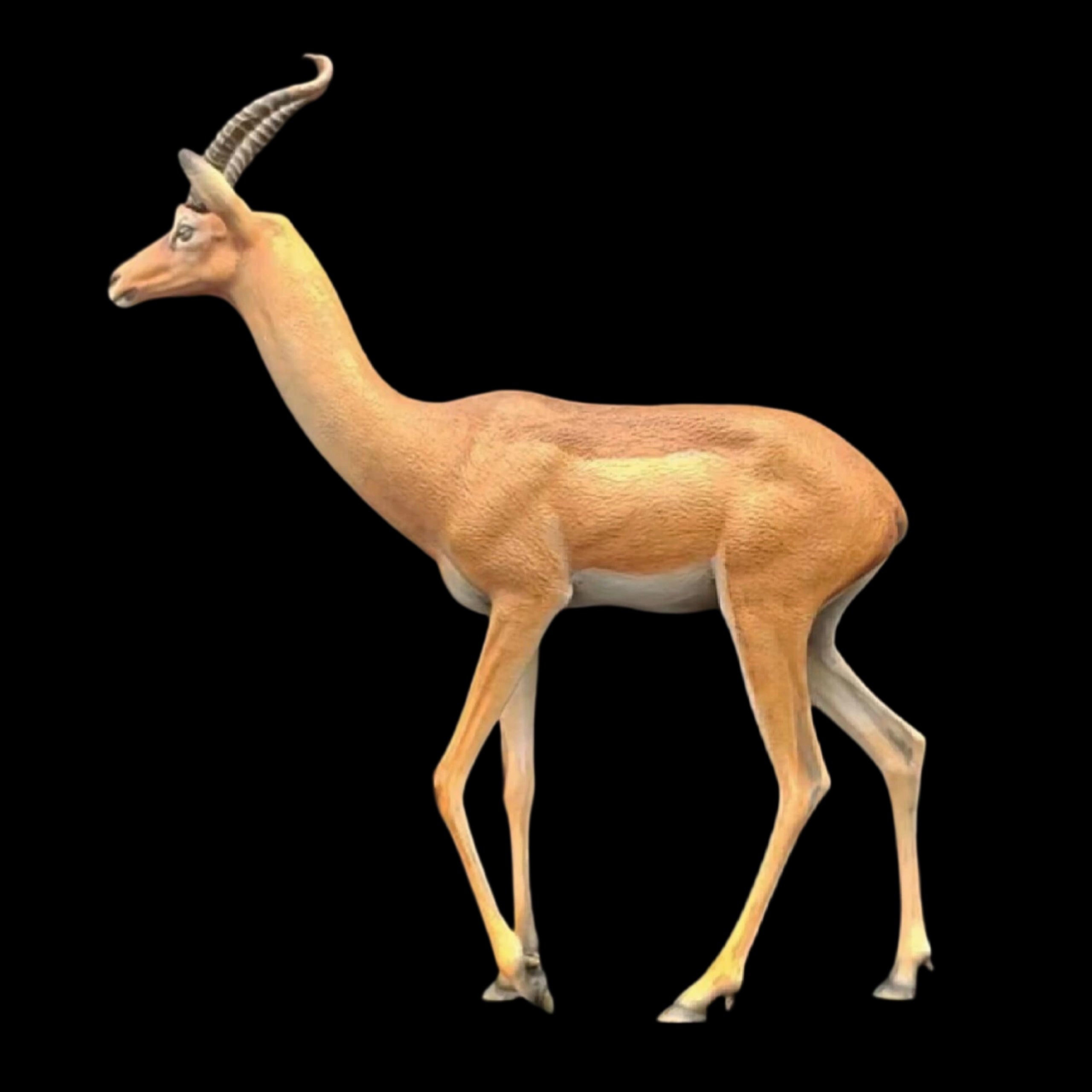 Tragelaphus eurycerus. Litocranius walleri. Eudorcas thomsonii. Cervus nippon 1:15 HIGH-PRECISION FINISHED STATUE