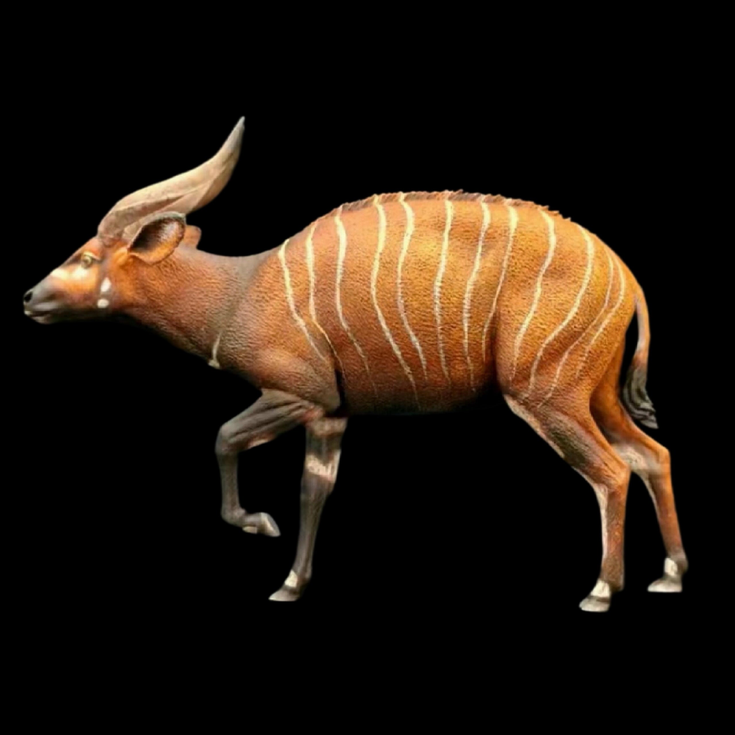 Tragelaphus eurycerus. Litocranius walleri. Eudorcas thomsonii. Cervus nippon 1:15 HIGH-PRECISION FINISHED STATUE