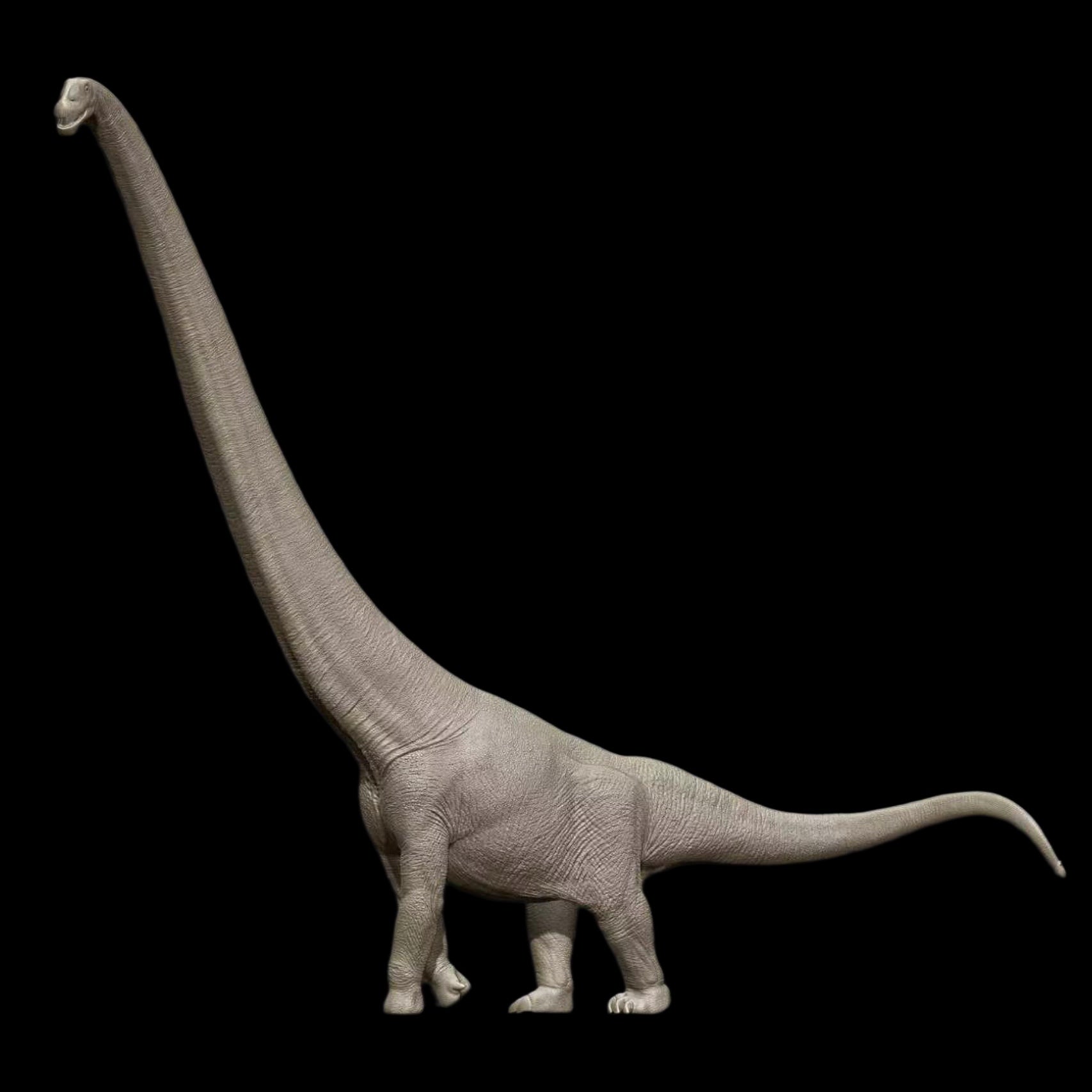 Omeisaurus Model Resin Kit 1:35 Scale dinosaur spirit