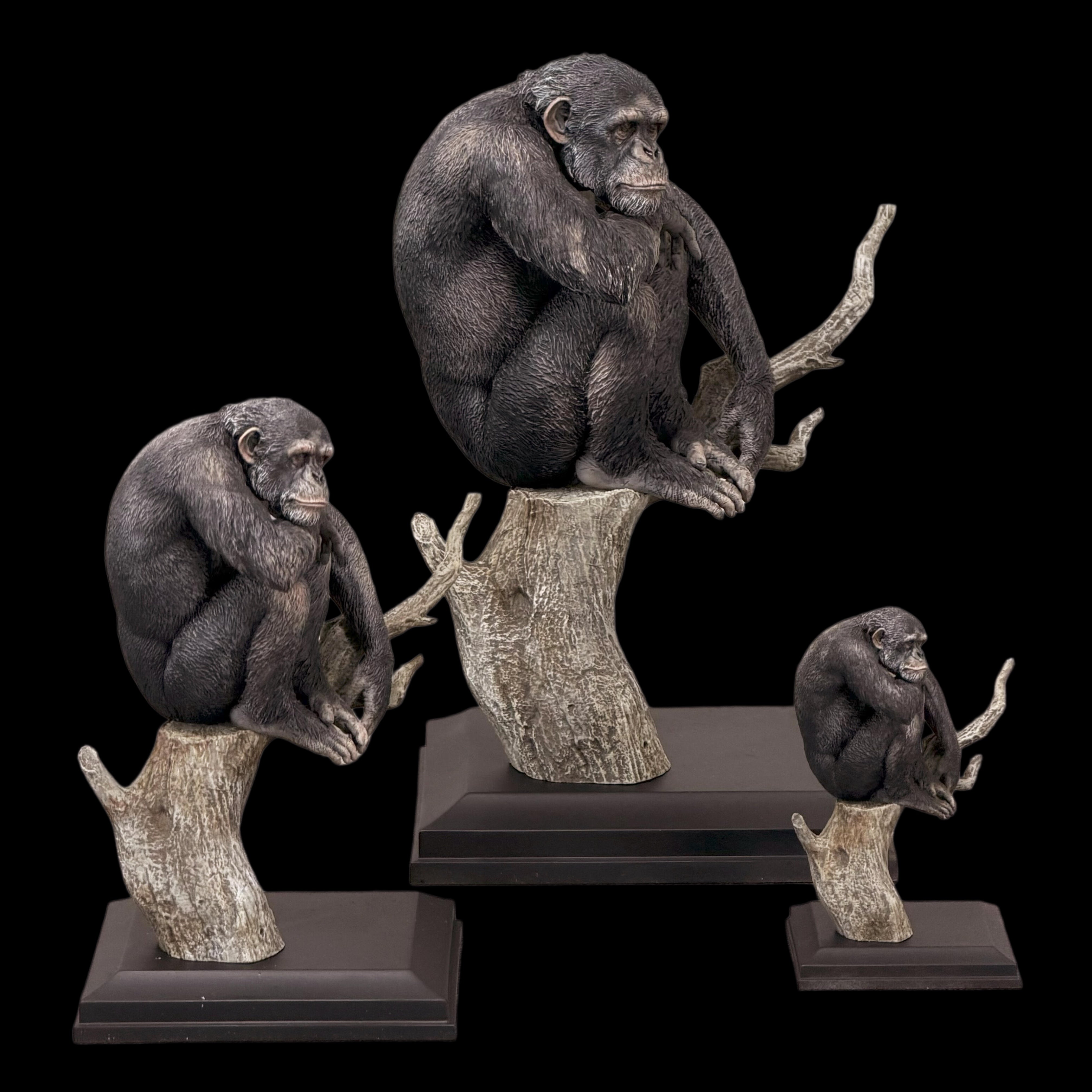 Pan troglodytes statue Model Kit 1:18 1:10 1:6 Scale APHID STUDIO