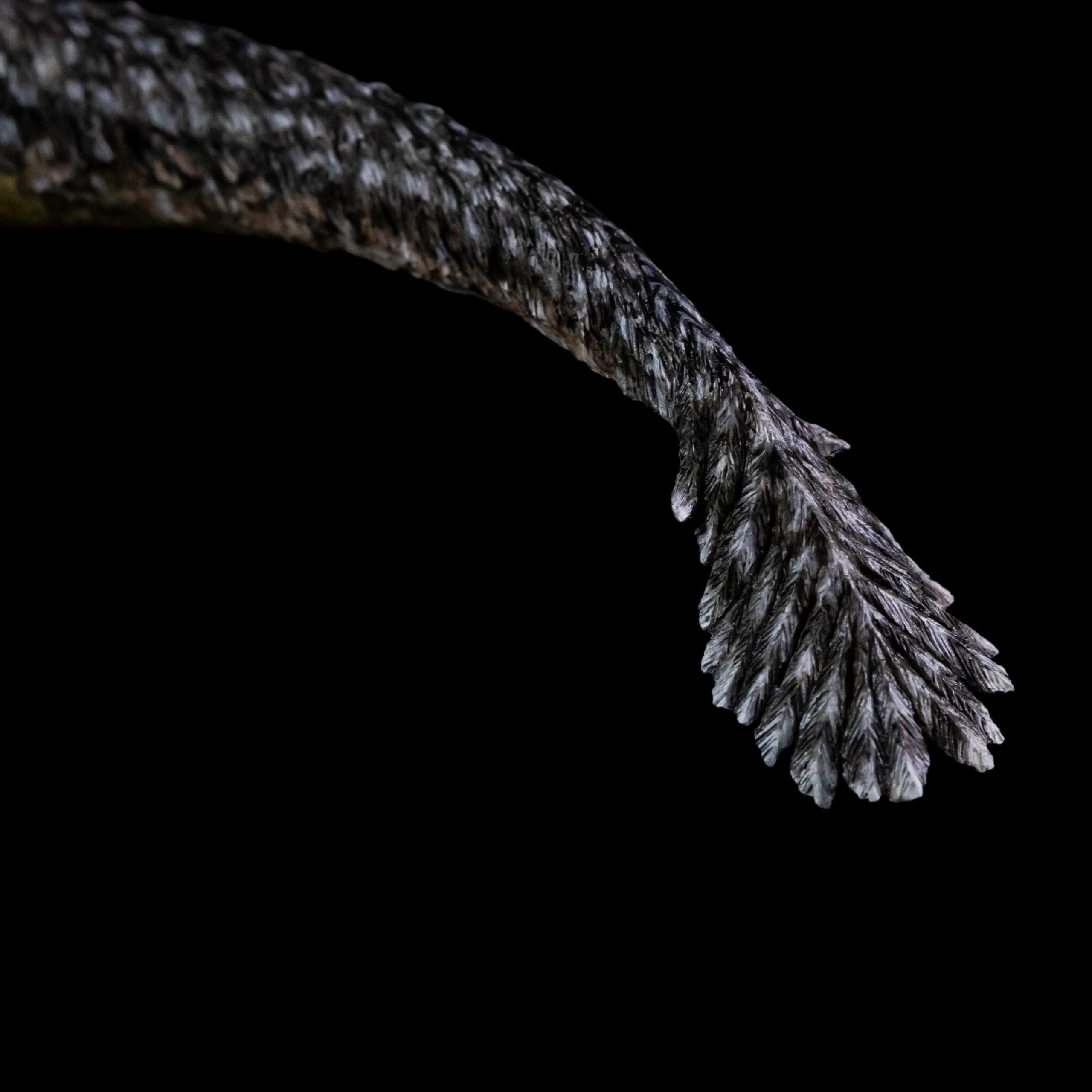 DEINOCHEIRUS statue Model Kit 1:20 Scale Tison Studio