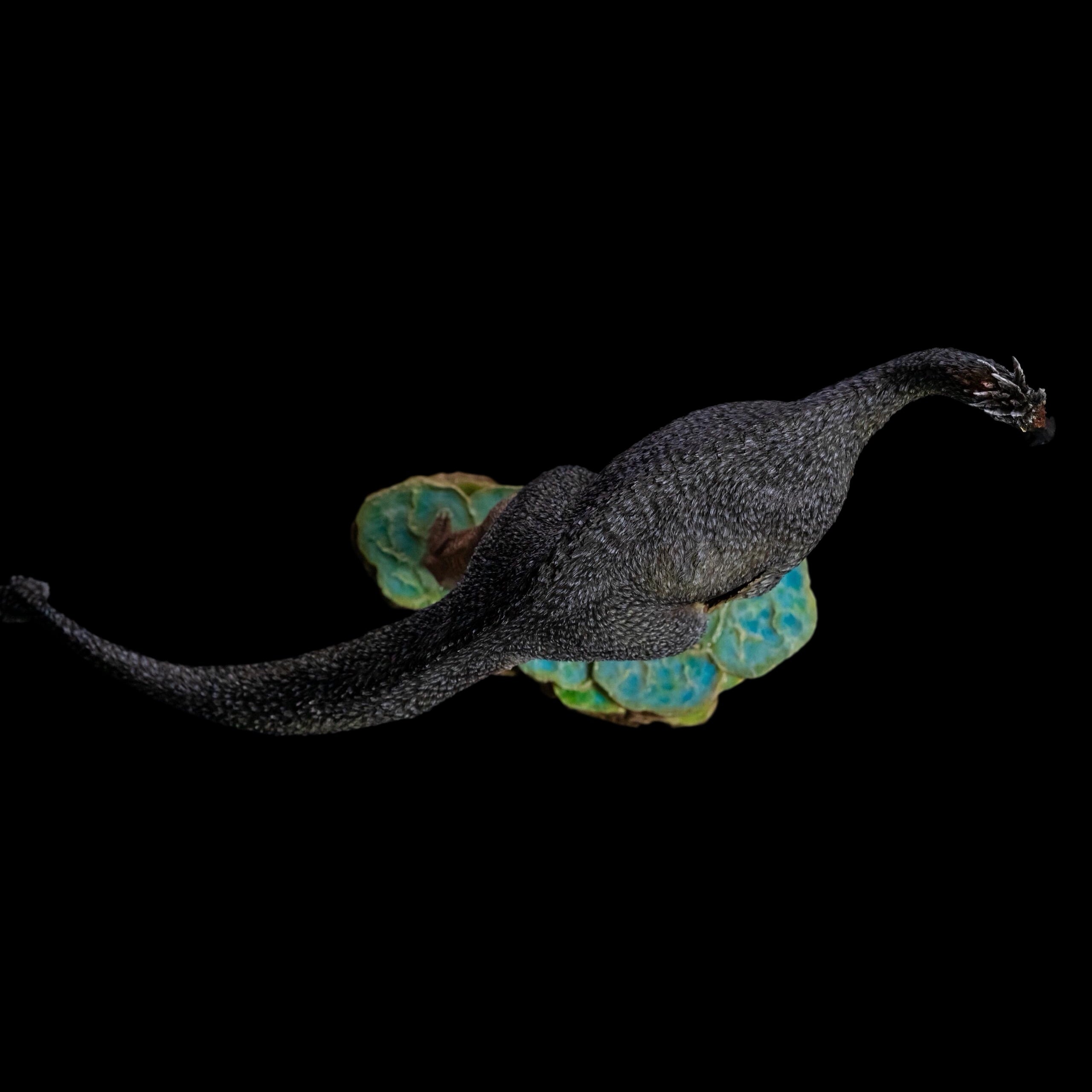DEINOCHEIRUS statue Model Kit 1:20 Scale Tison Studio