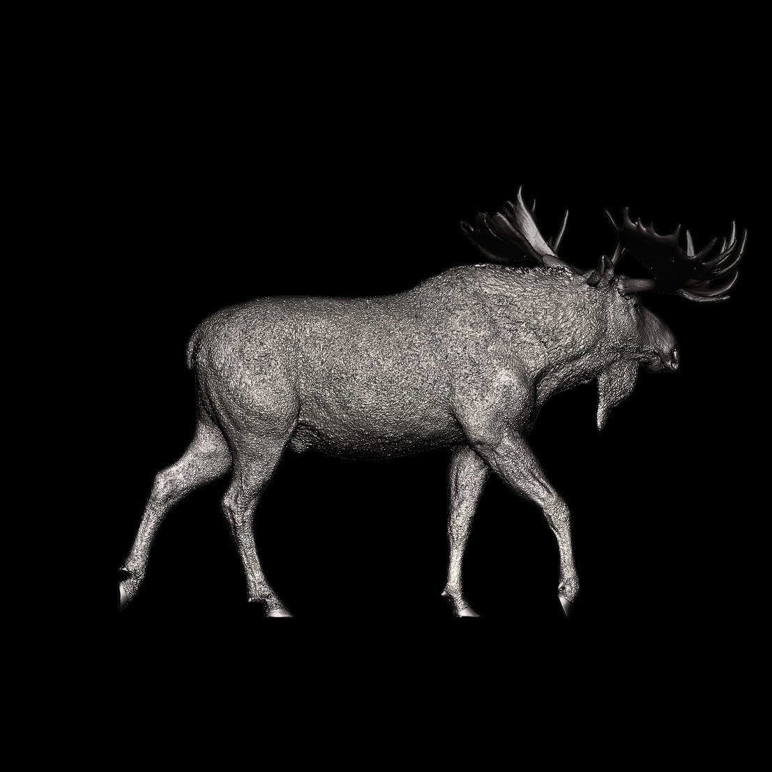 North American Moose statue Model Kit 1:35 1:18 1:15 1:10 Scale Art&Evolution Studio