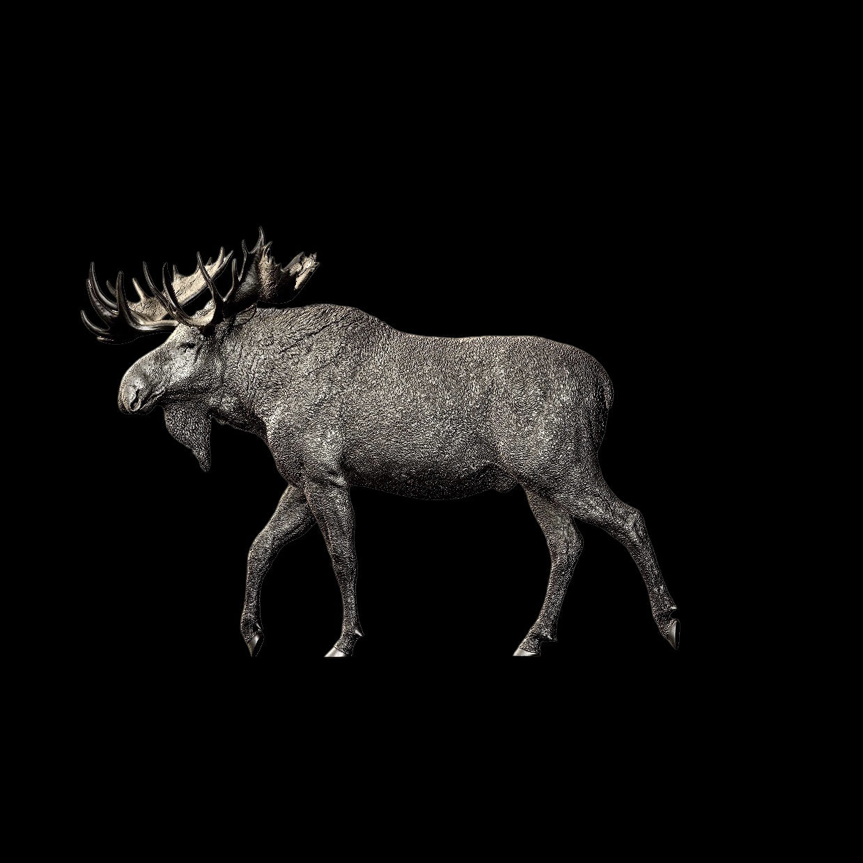 North American Moose statue Model Kit 1:35 1:18 1:15 1:10 Scale Art&Evolution Studio