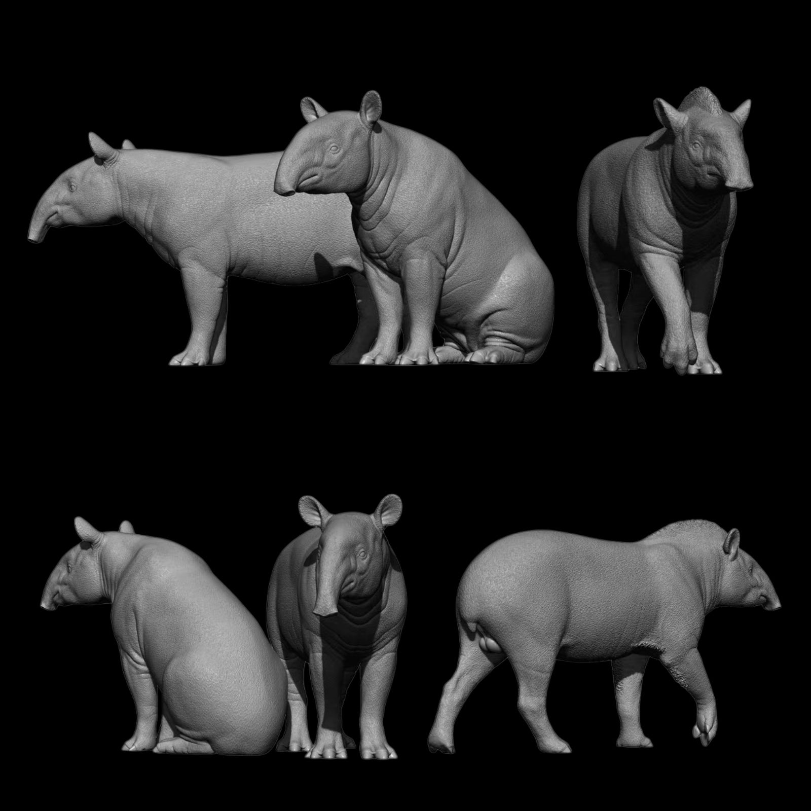 MALAYAN & SOUTH AMERICAN TAPIR statue Model Kit 1:18 1:15 1:10 Scale DaFei Studio