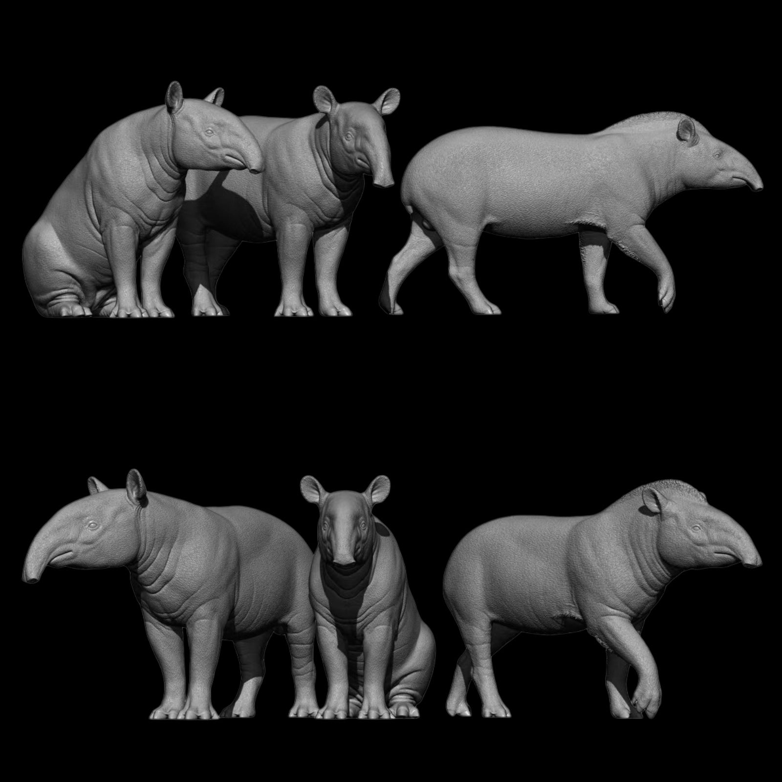 MALAYAN & SOUTH AMERICAN TAPIR statue Model Kit 1:18 1:15 1:10 Scale DaFei Studio