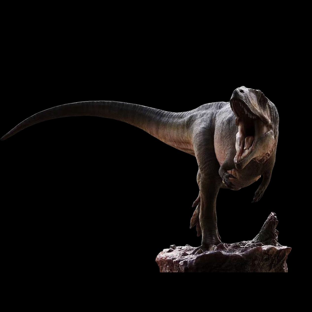 Carcharodontosaurus Model Kit 1:35 1:18 Scale