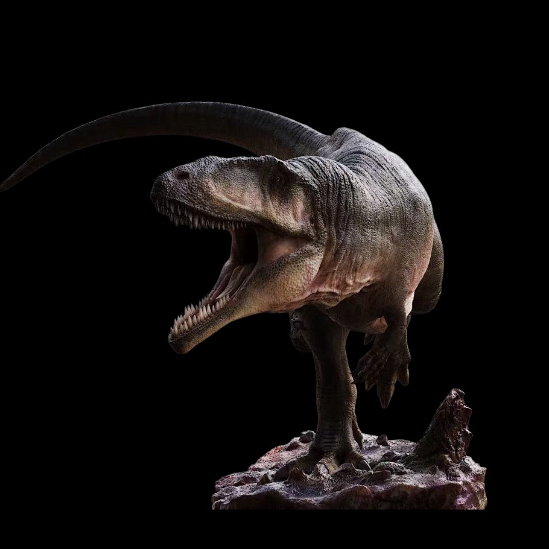 Carcharodontosaurus Model Kit 1:35 1:18 Scale