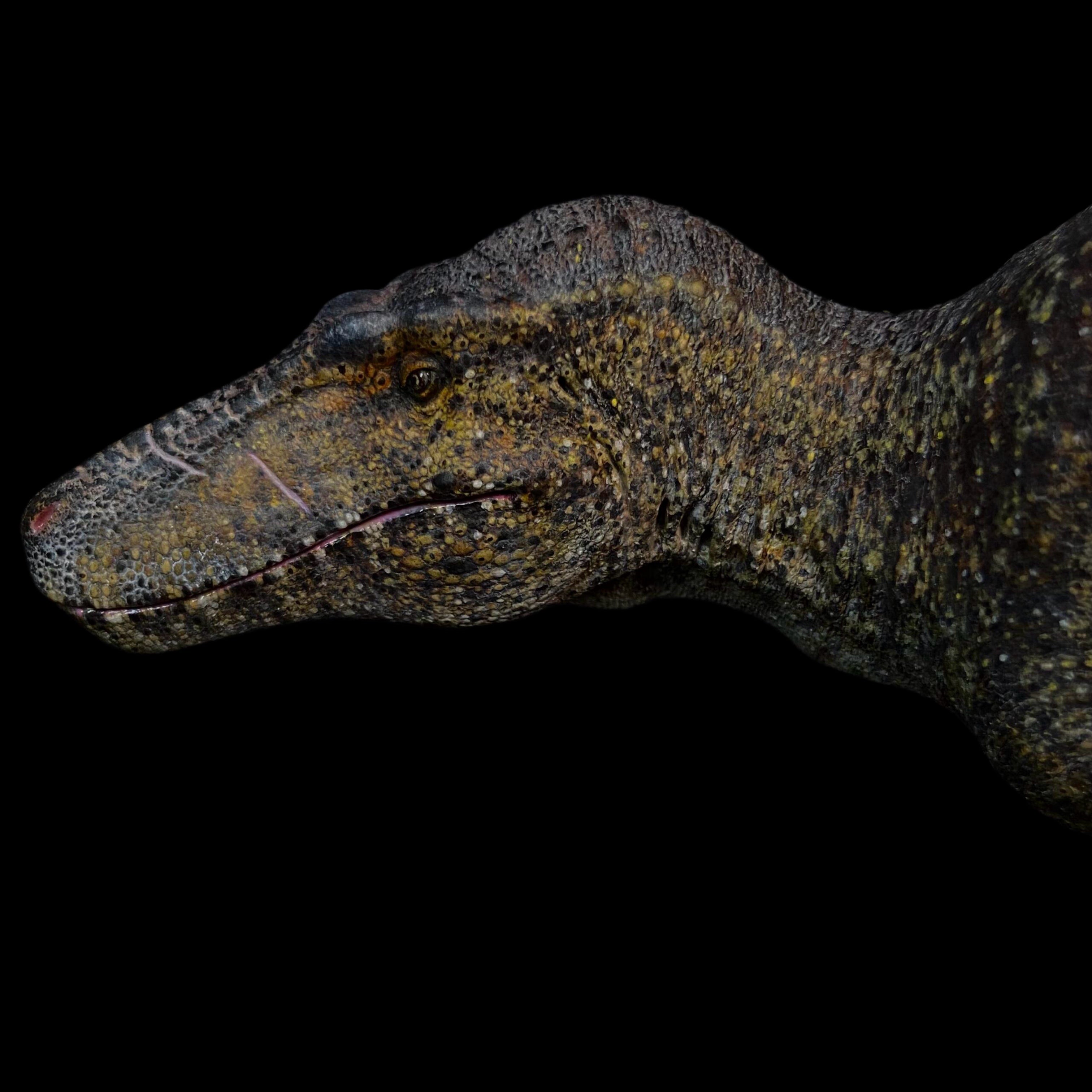 Nanotyrannus statue Model Kit 1:20 Scale MK Studio