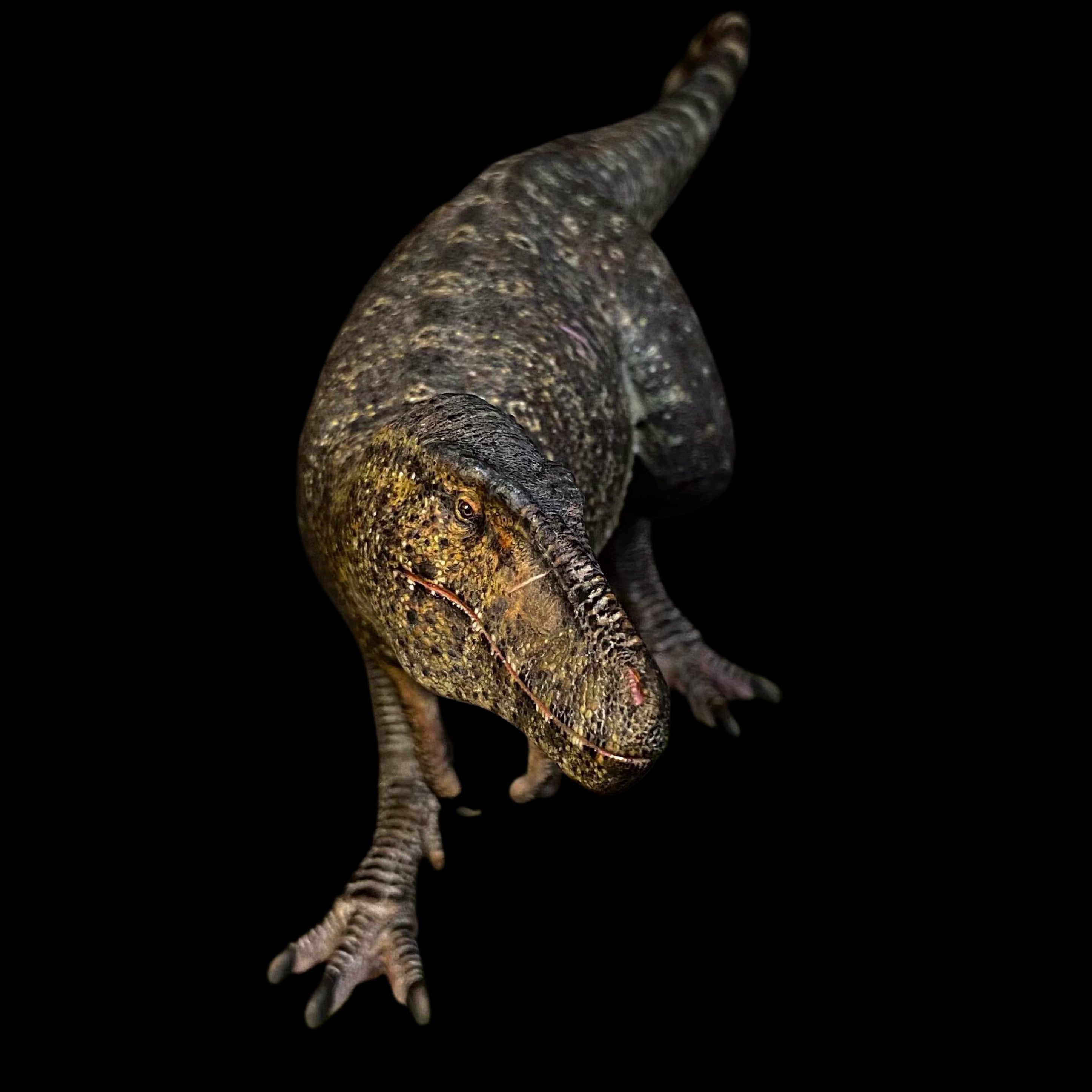 Nanotyrannus statue Model Kit 1:20 Scale MK Studio