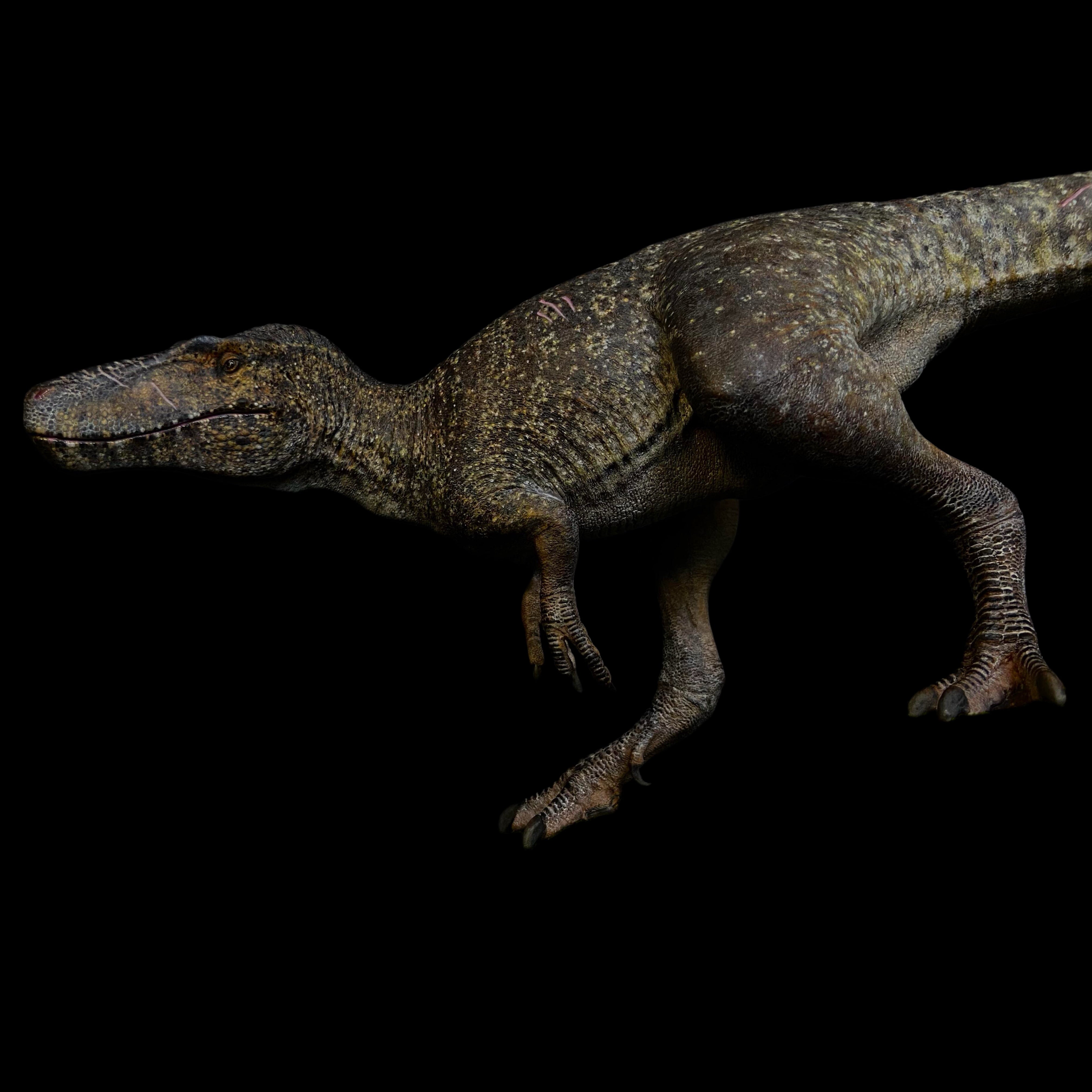 Nanotyrannus statue Model Kit 1:20 Scale MK Studio