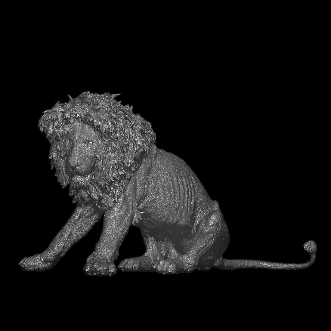 Panthera leo -Scarface Model Kit 1:5 Scale Art&amp;Evolution Studio