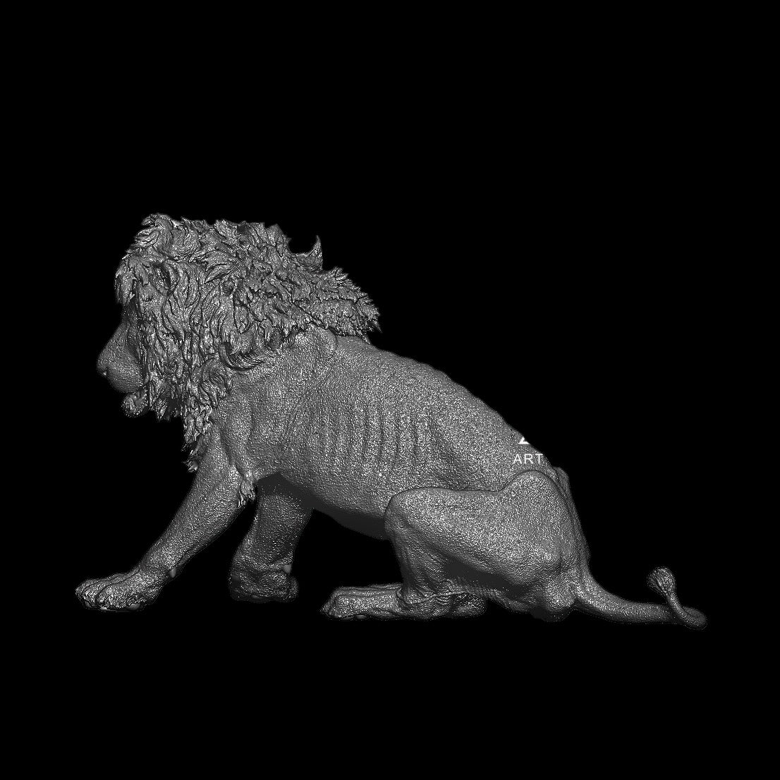 Panthera leo -Scarface Model Kit 1:5 Scale Art&amp;Evolution Studio