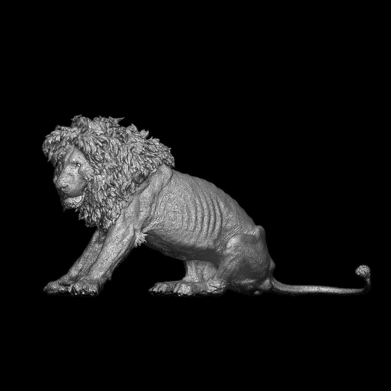 Panthera leo -Scarface Model Kit 1:5 Scale Art&amp;Evolution Studio