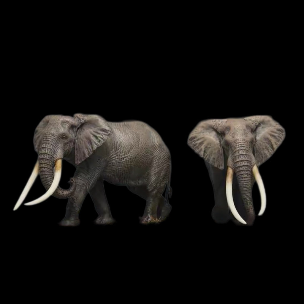 AFRICAN ELEPHANT PAINTED STATUE
1:35 Dafei studio