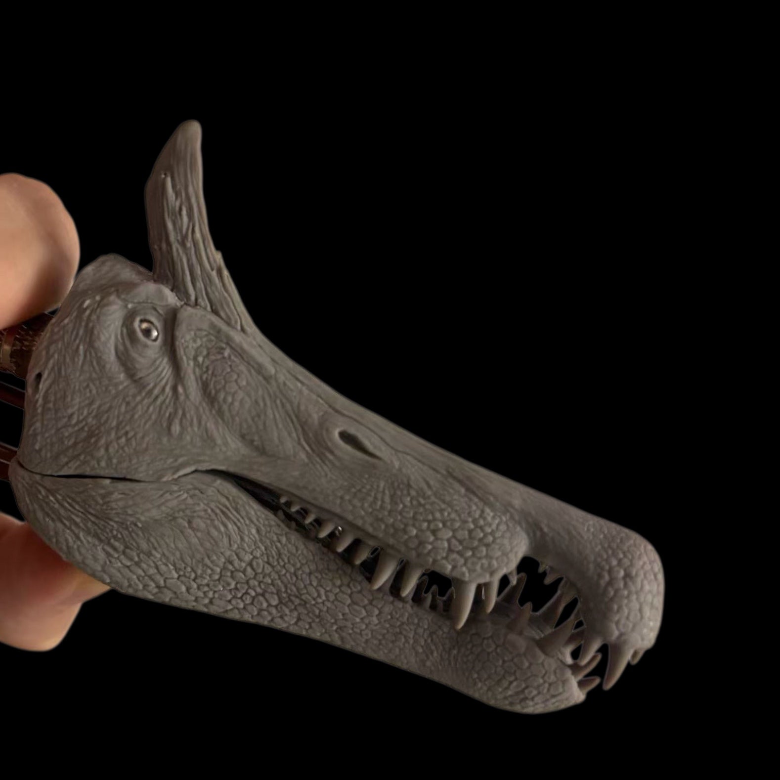 Spinosaurus mirabilis statue Model Kit  Cen Studio