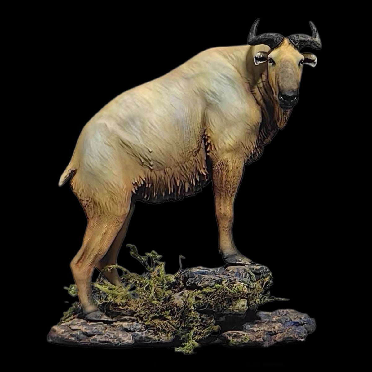 Budorcas taxicolor bedfordi PAINTED STATUE