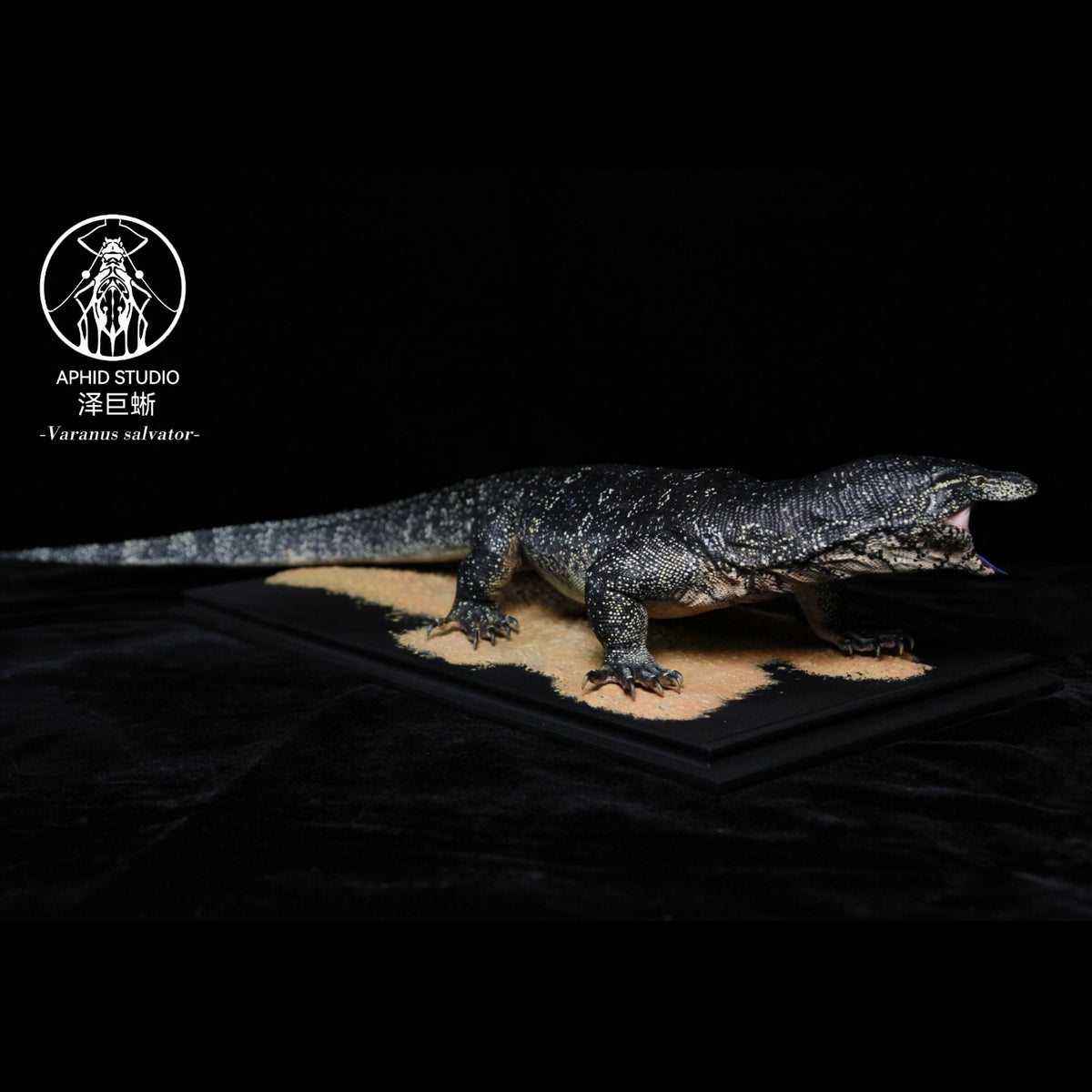 Varanus salvator Model Kit 1:6 1:10 1:15-1:18 1:35 Scale APHID STUDIO Studio