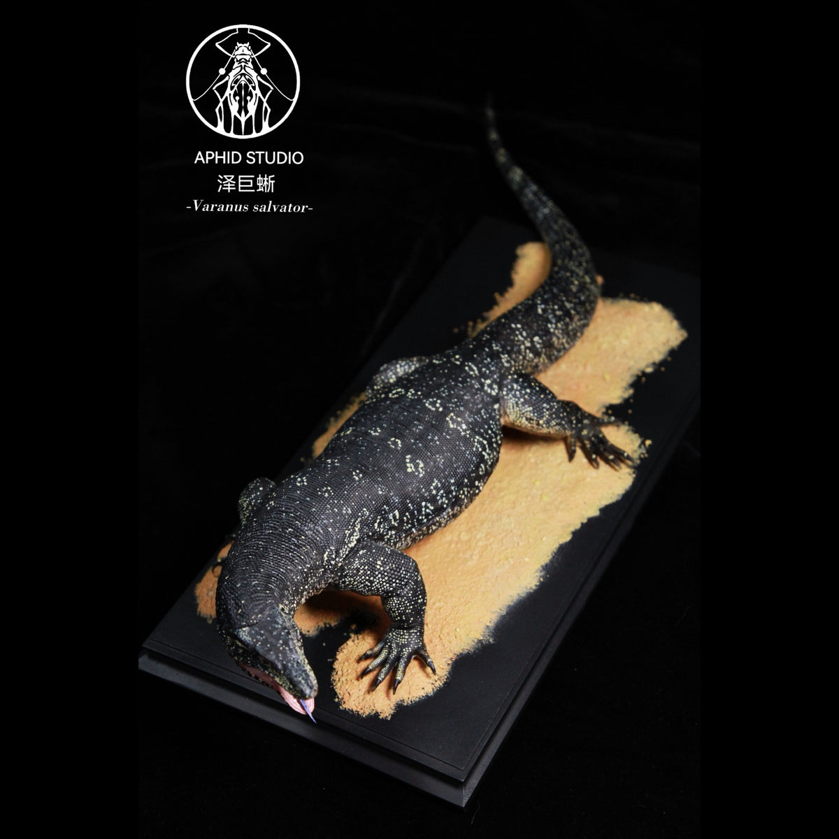 Varanus salvator Model Kit 1:6 1:10 1:15-1:18 1:35 Scale APHID STUDIO Studio
