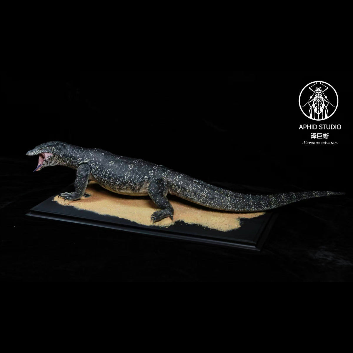 Varanus salvator Model Kit 1:6 1:10 1:15-1:18 1:35 Scale APHID STUDIO Studio