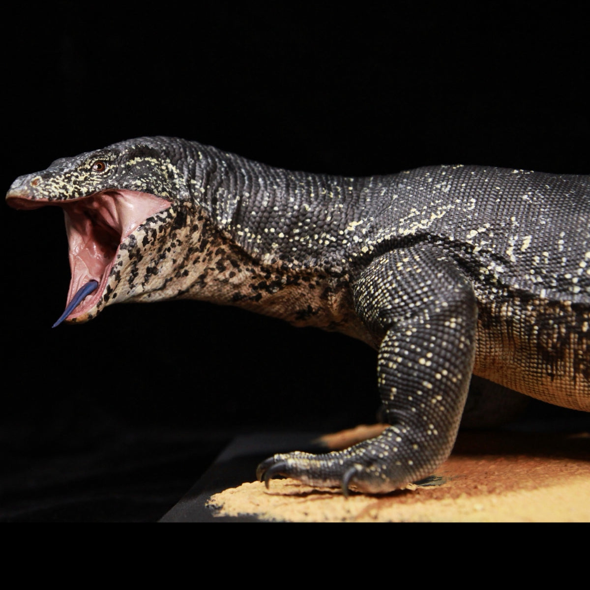 Varanus salvator Model Kit 1:6 1:10 1:15-1:18 1:35 Scale APHID STUDIO Studio