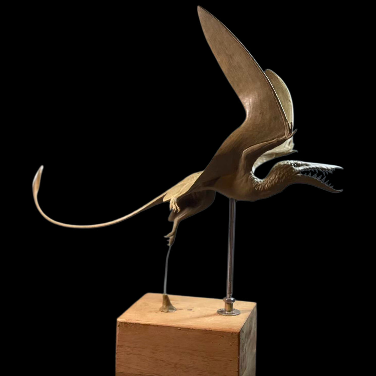 RHAMPHORHYNCHUS Model Kit 1:1 Scale Sensen Studio