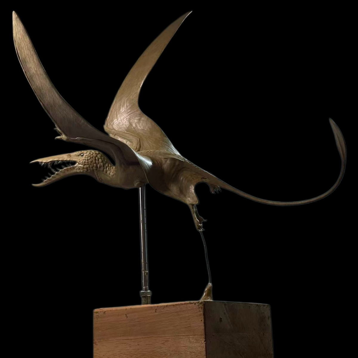 RHAMPHORHYNCHUS Model Kit 1:1 Scale Sensen Studio