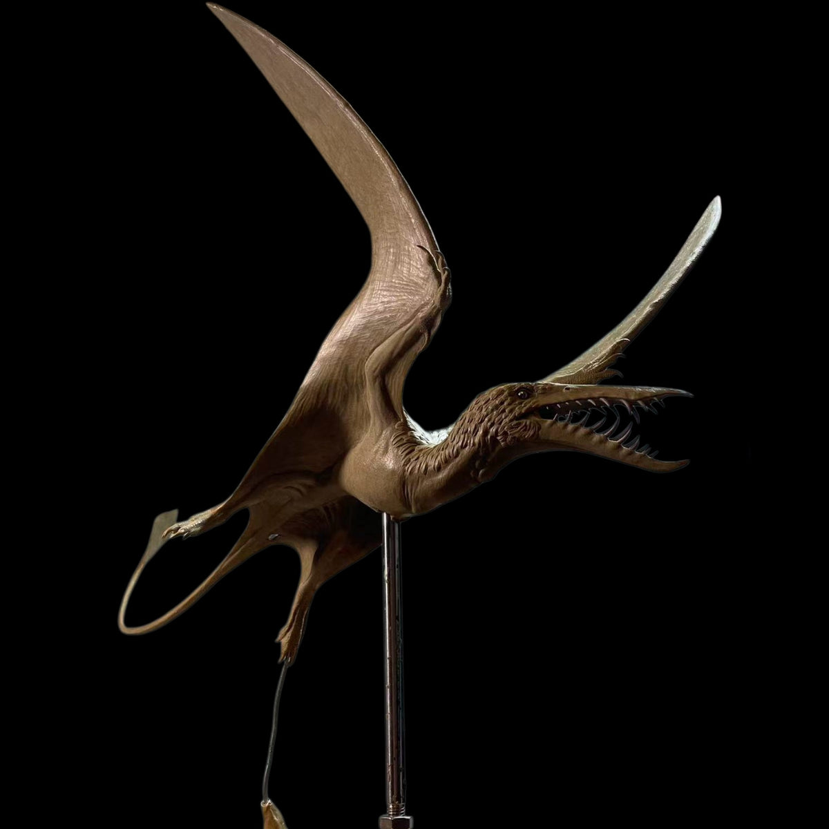 RHAMPHORHYNCHUS Model Kit 1:1 Scale Sensen Studio