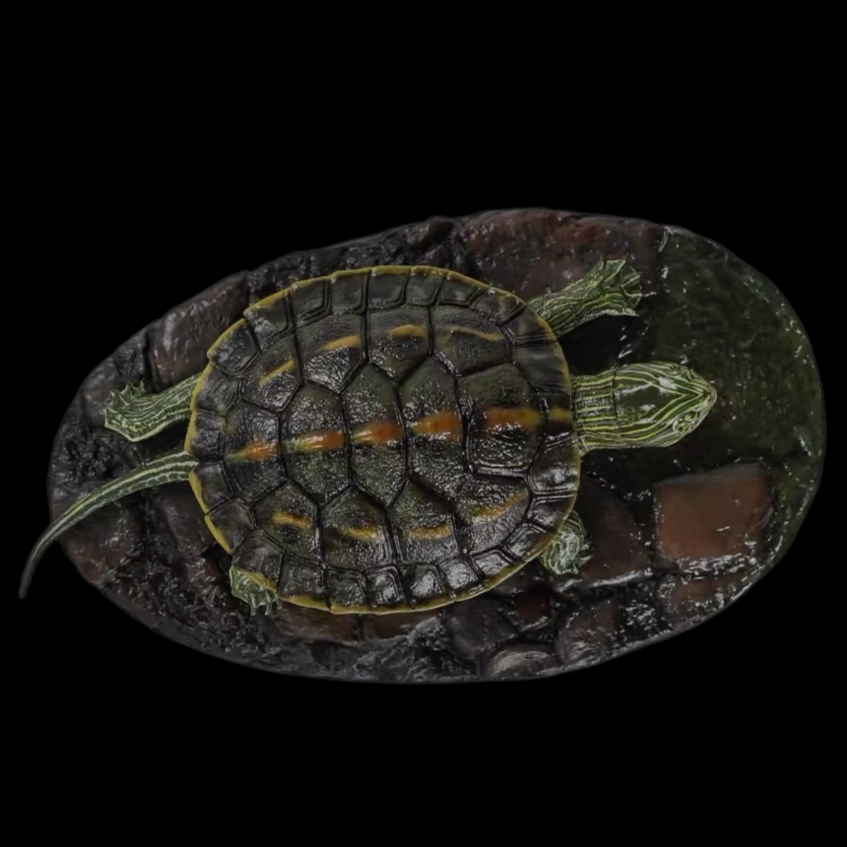 CHINESE STRIPED-NECK TURTLE (MAUREMYS SINENSIS) DUAL-SCENE STATUE SET (PAINTED FINISHED EDITION)