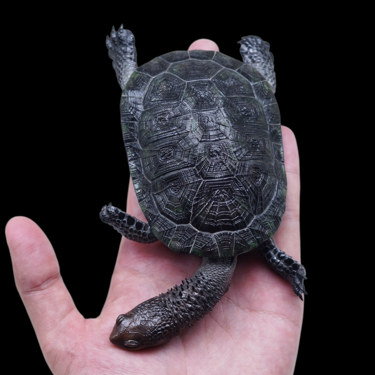 BLACK-BELLIED THORNY-NECKED TURTLE 1:1 LIFE-SIZE HERPETOLOGICAL STATUE (GREY RESIN KIT / PAINTED EDITION)