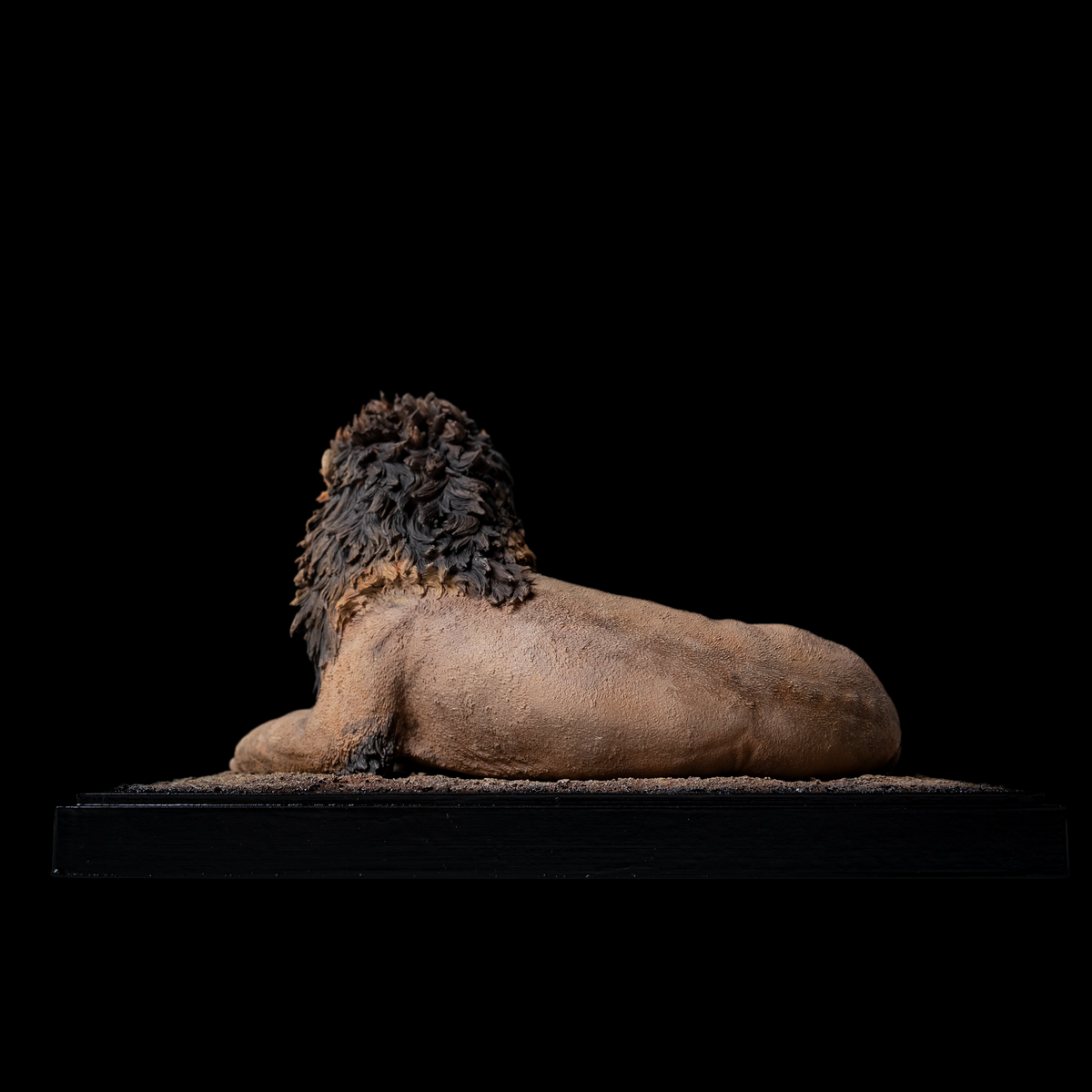 AFRICAN LION "OLOSHIPA" 1:10 / 1:6 DIORAMA ART STATUE (GREY RESIN KIT / PAINTED EDITION)