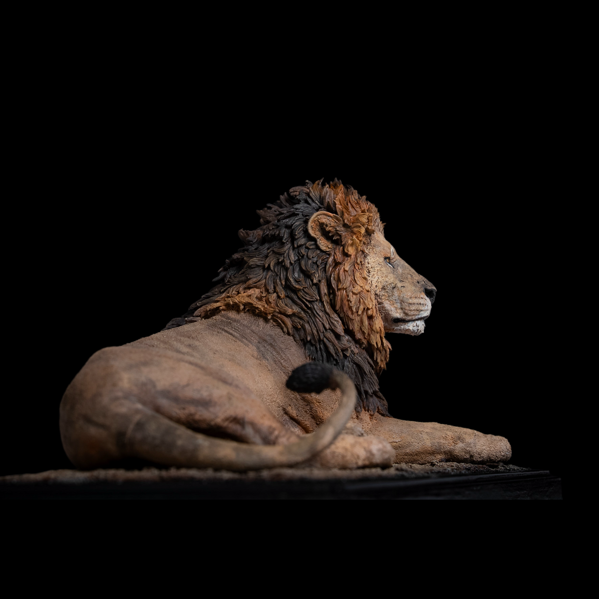 AFRICAN LION "OLOSHIPA" 1:10 / 1:6 DIORAMA ART STATUE (GREY RESIN KIT / PAINTED EDITION)