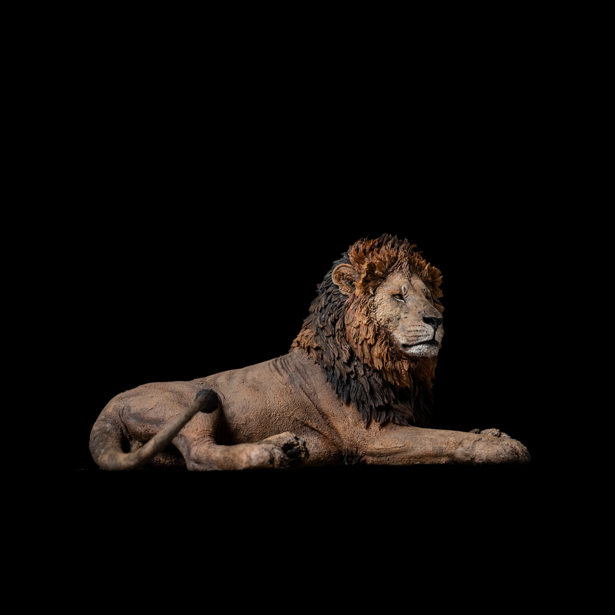 AFRICAN LION "OLOSHIPA" 1:10 / 1:6 DIORAMA ART STATUE (GREY RESIN KIT / PAINTED EDITION)