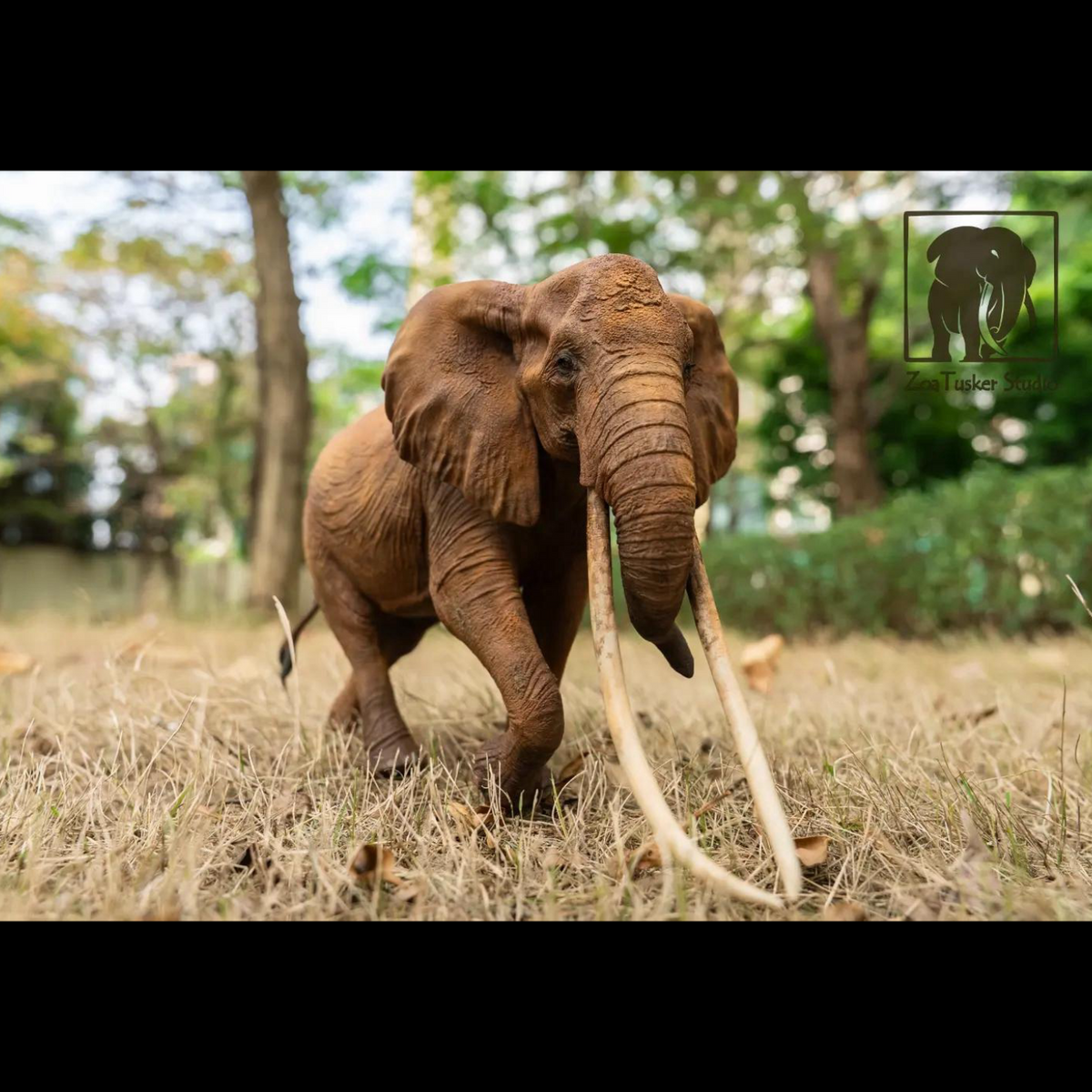 AFRICAN ELEPHANT (LOXODONTA AFRICANA) MULTI-SCALE FLAGSHIP DIORAMA STATUE (RESIN KIT / PAINTED EDITION)